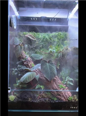 ENJOY！フォトコンテスト2025の写真