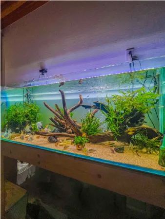 ENJOY！フォトコンテスト2025の写真