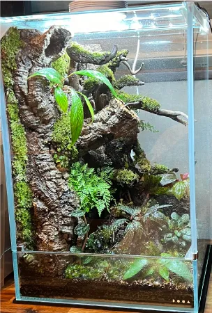 ENJOY！フォトコンテスト2025の写真