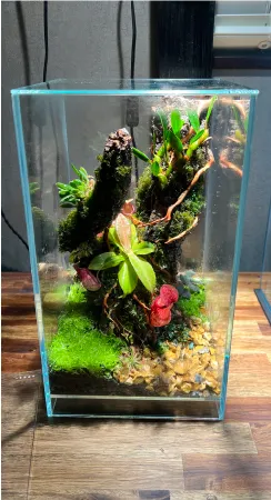 ENJOY！フォトコンテスト2025の写真