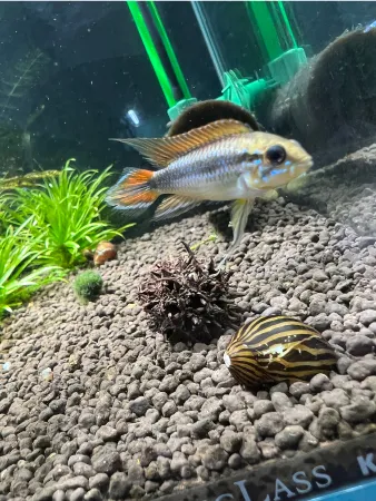 ENJOY！フォトコンテスト2025の写真