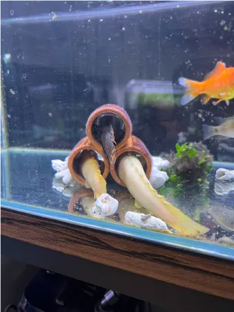 ENJOY！フォトコンテスト2025の写真