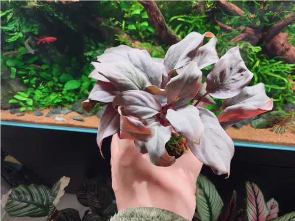 ENJOY！フォトコンテスト2025の写真