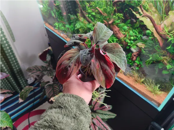 ENJOY！フォトコンテスト2025の写真