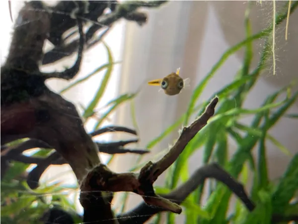 ENJOY！フォトコンテスト2025の写真