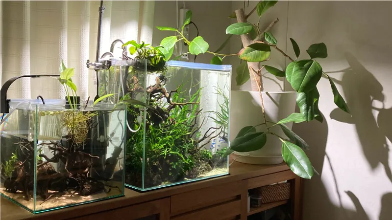 ENJOY！フォトコンテスト2025の写真