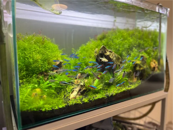 ENJOY！フォトコンテスト2025の写真