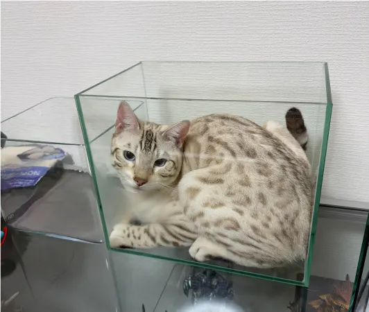 ENJOY！フォトコンテスト2025の写真