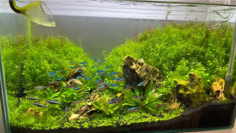 ENJOY！フォトコンテスト2025の写真