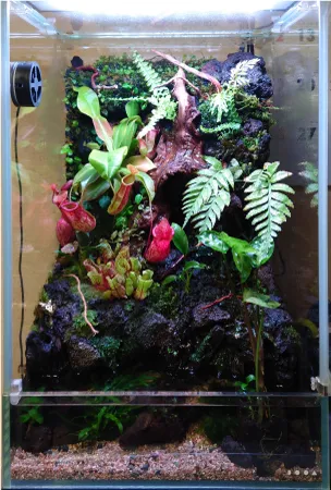 ENJOY！フォトコンテスト2025の写真