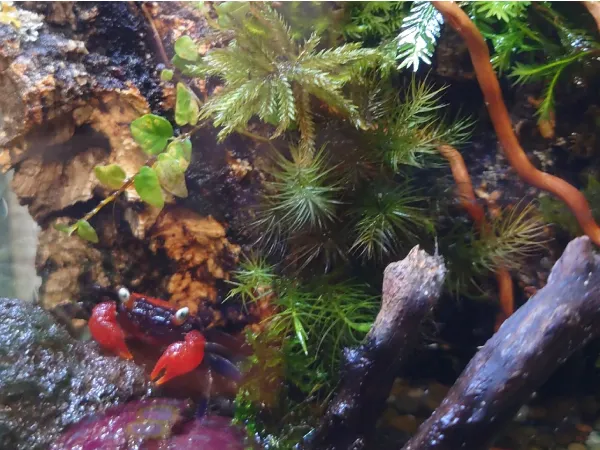 ENJOY！フォトコンテスト2025の写真