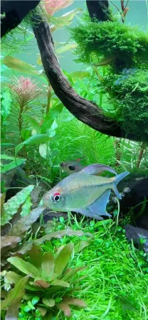 ENJOY！フォトコンテスト2025の写真