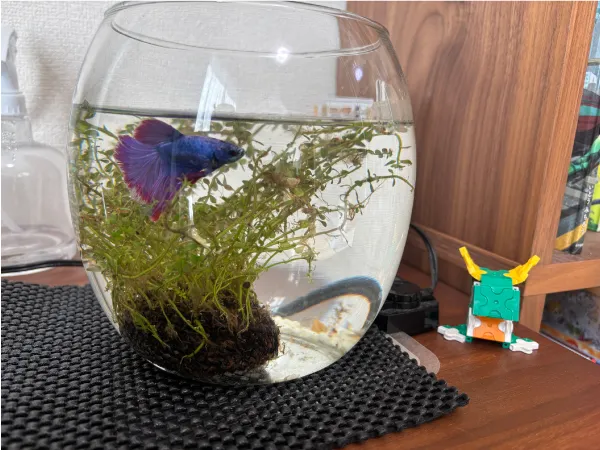 ENJOY！フォトコンテスト2025の写真