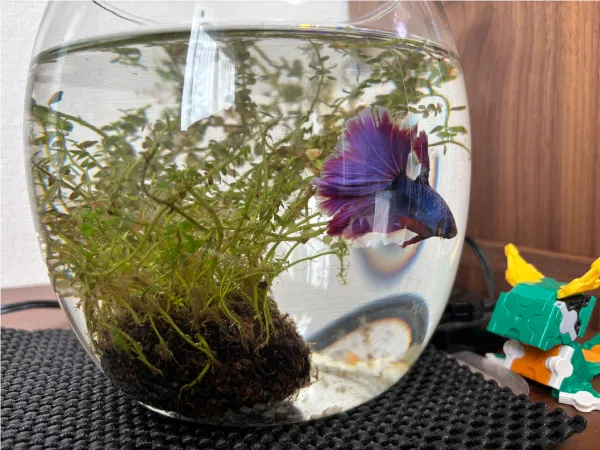 ENJOY！フォトコンテスト2025の写真