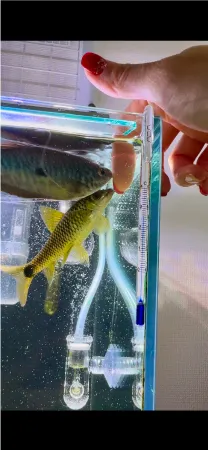 ENJOY！フォトコンテスト2025の写真