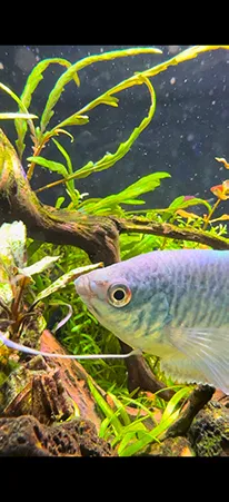 ENJOY！フォトコンテスト2025の写真