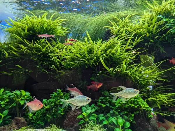 ENJOY！フォトコンテスト2025の写真