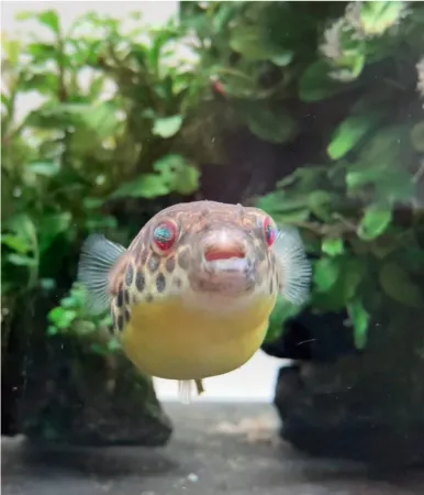 ENJOY！フォトコンテスト2025の写真