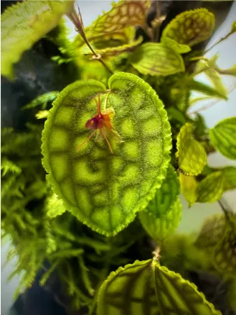 ENJOY！フォトコンテスト2025の写真