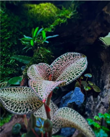 ENJOY！フォトコンテスト2025の写真