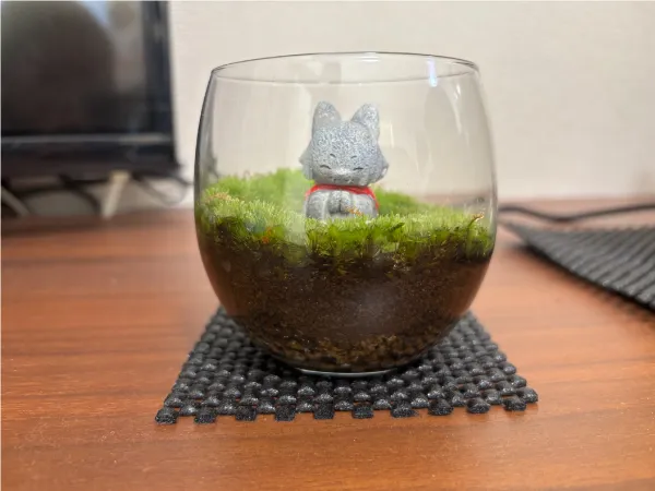 ENJOY！フォトコンテスト2025の写真