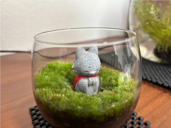 ENJOY！フォトコンテスト2025の写真