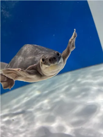 ENJOY！フォトコンテスト2025の写真