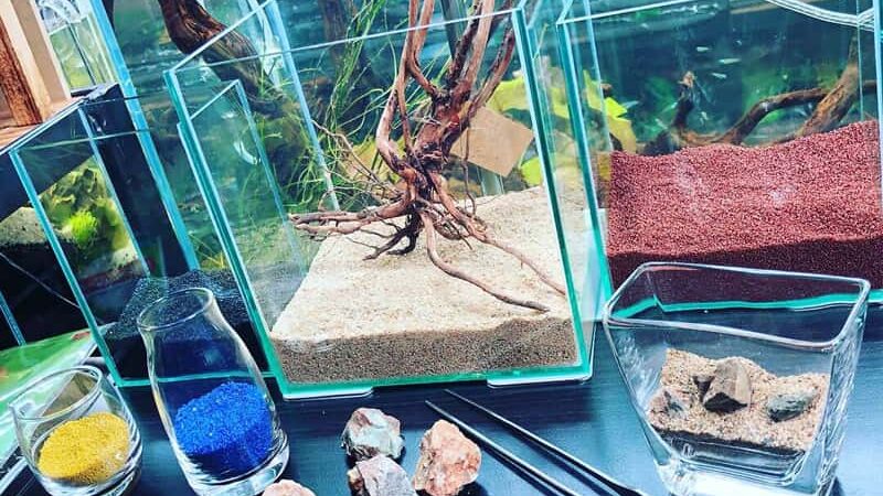 ワークショップ