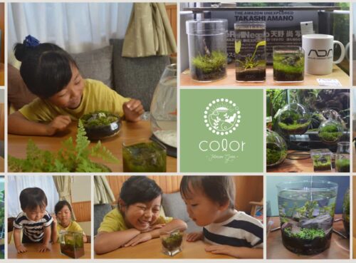 color フォトコンテスト2020