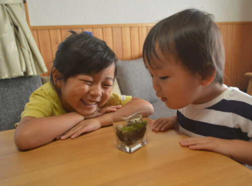 フォトコンテストサンプル