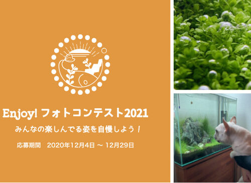Enjoy! フォトコンテスト 2021