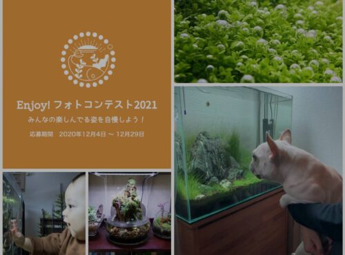 フォトコンテスト 2021