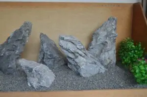 龍王石 DSC_0865-300x199.jpg.webp