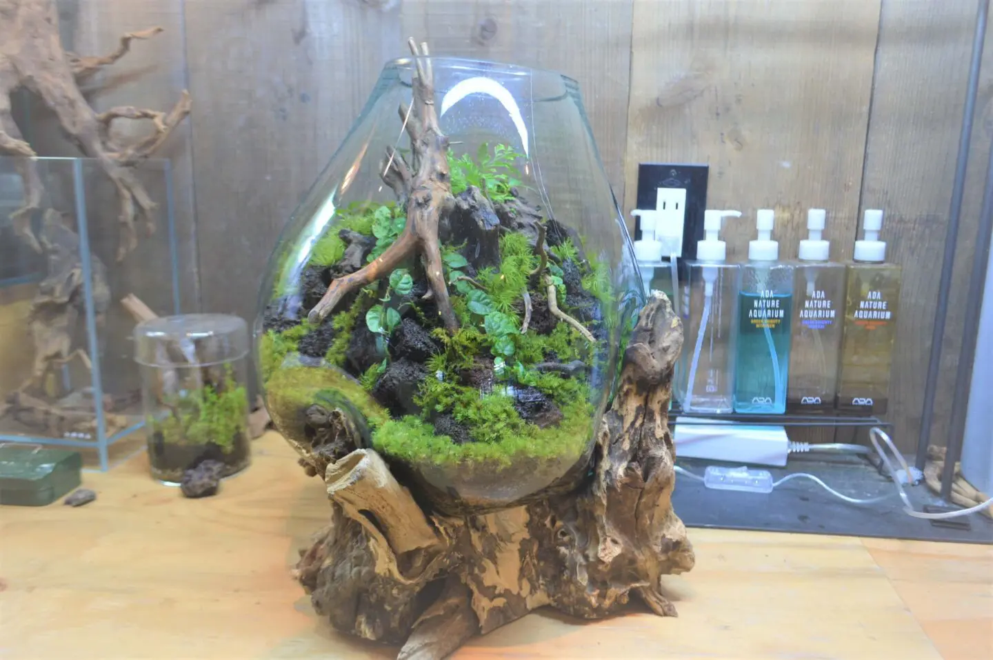 オーダーメイド コケリウム Color