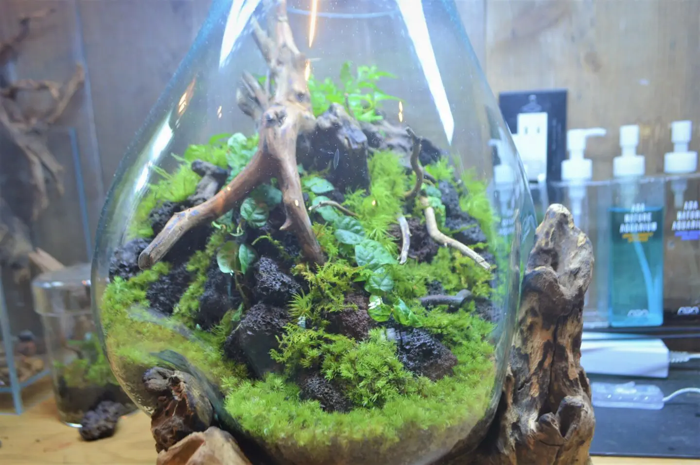 オーダーメイド コケリウム | color