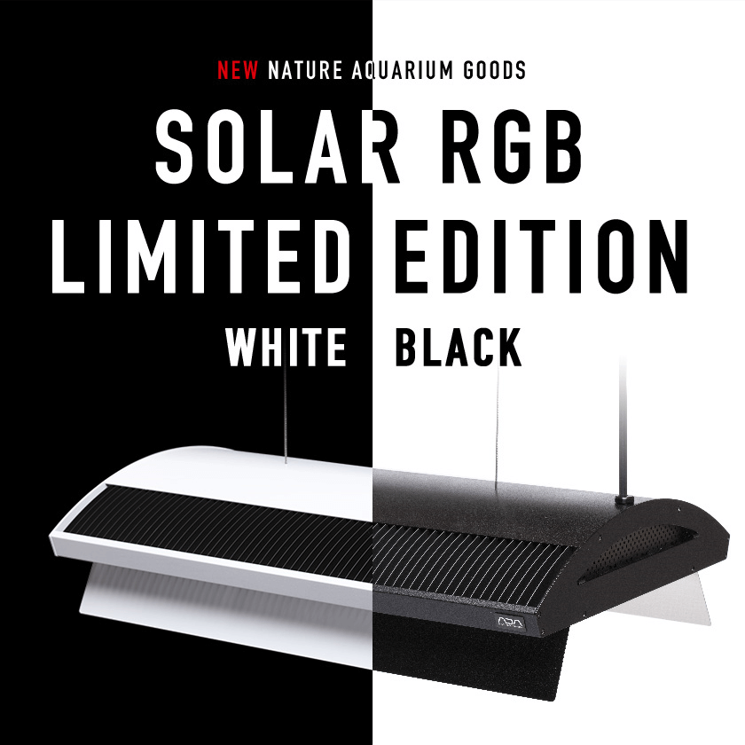 ソーラーRGB リミテッドエディション 限定発売のお知らせ。 | color