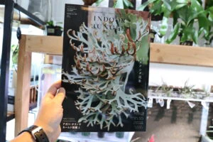 ☆ラスト☆【新品・未開封】インドアジャングル No.02 4月号増刊　ビカクシダ INDOOR JUNGLE（インドアジャングル） No.02 ビカクシダ現象