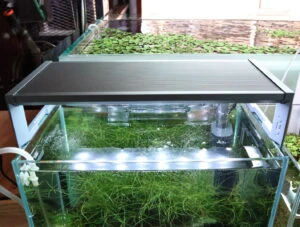 アクアスカイ RGB ベーシック 300 | color