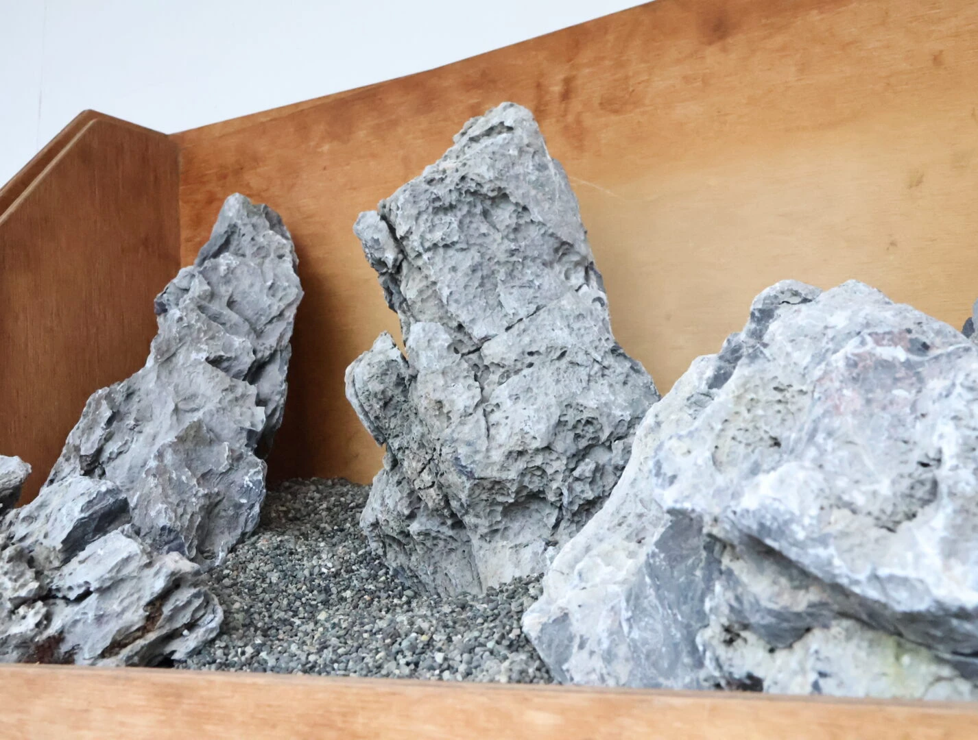 龍王石 ADA Review 「メンテナンステクニックー石組ー」 | AQUA DESIGN AMANO