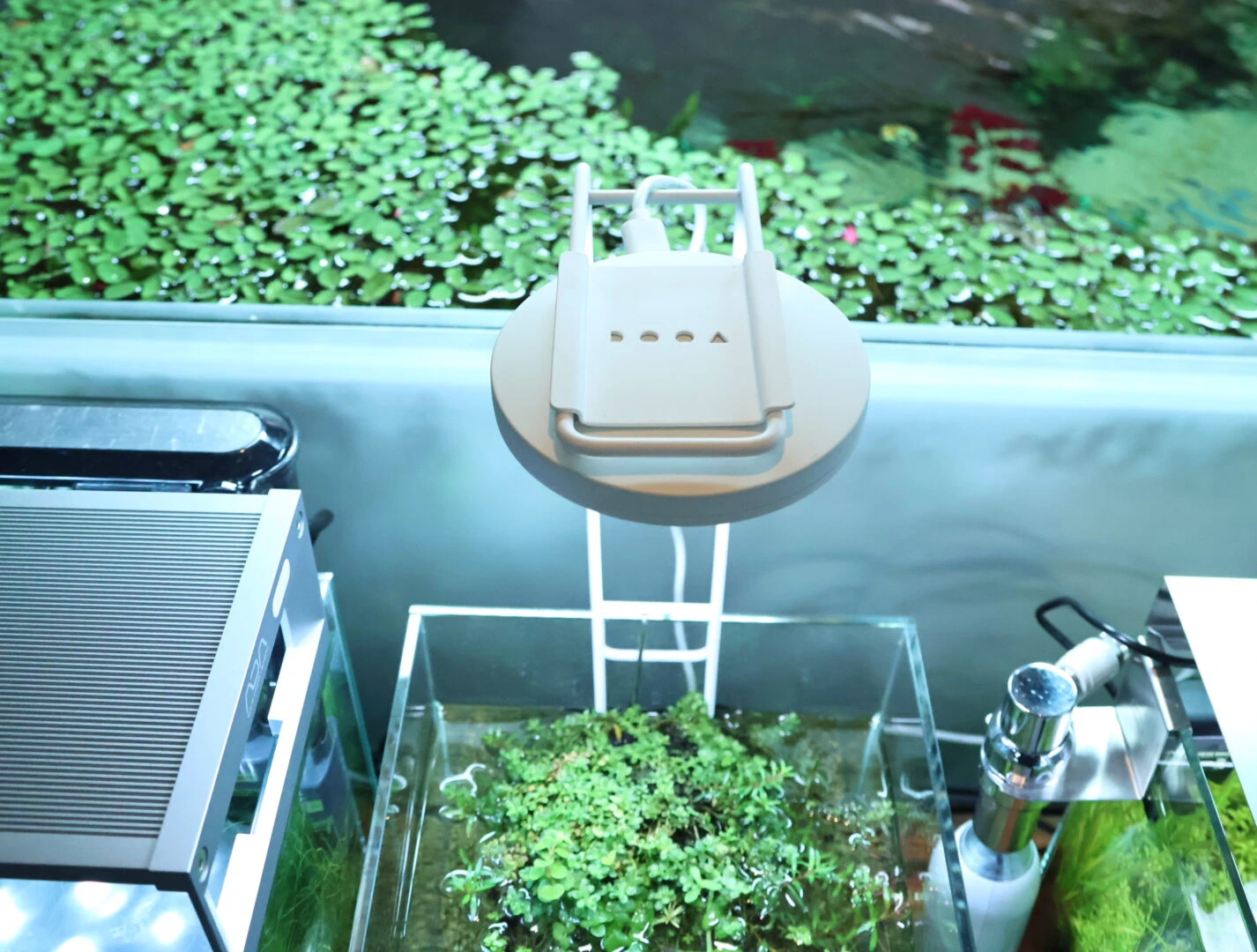 ネオグラスエア20×20×9 と マグネットライトワイヤーアームセット マグネットライトワイヤーアーム 入荷！ | color