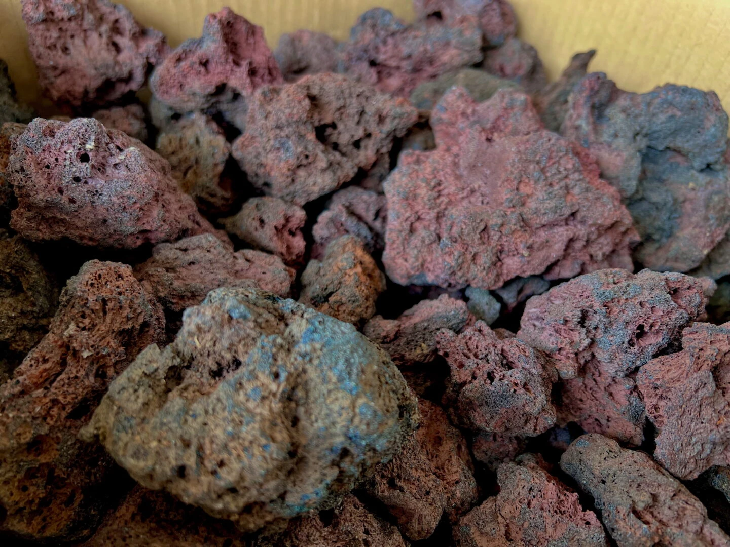 サムライラバロック 入荷！ | color