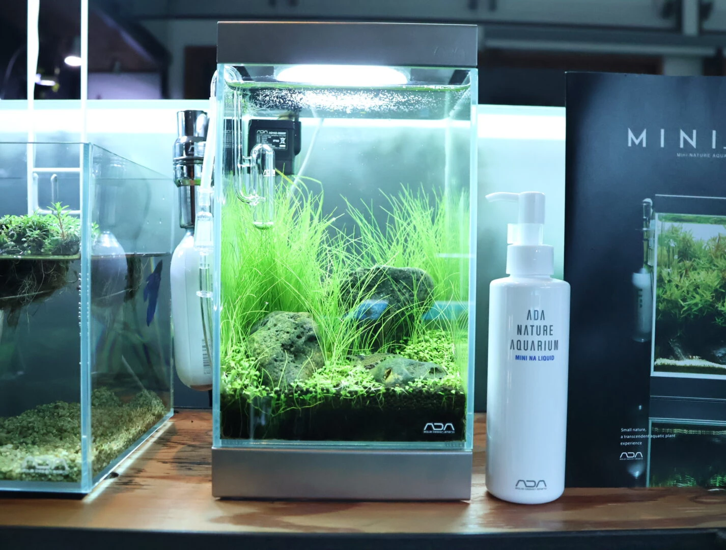 ネイチャーアクアリウム | color