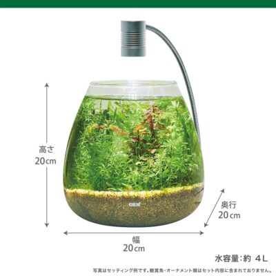 4972547043887_MeGreen 新鮮水草付き グラスアクア