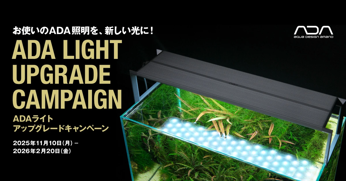 アクアスカイ買い替えキャンペーン | color