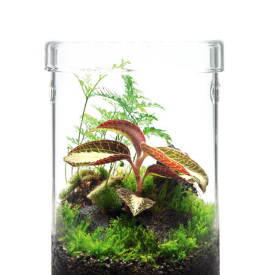 MARU95_作例_NAスタイルNo8_P14 MARU95_作例_NAスタイルNo8_P14