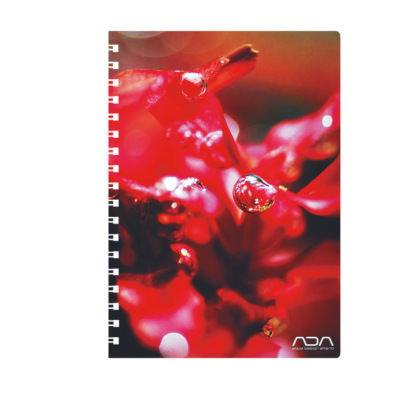 リングノート 赤 リングノート 赤