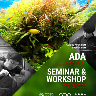 A_ADA SEMINAR_color